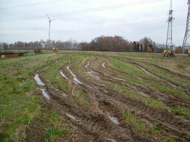 2004_1128_120115 (2).JPG - Südl. des Altbestandes Richtung Osten